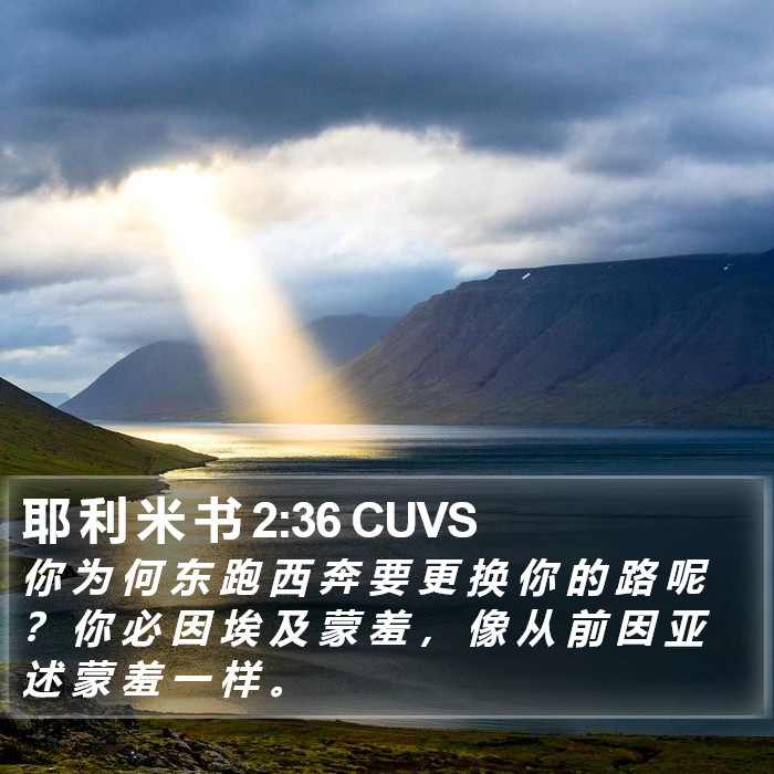 耶 利 米 书 2:36 CUVS Bible Study