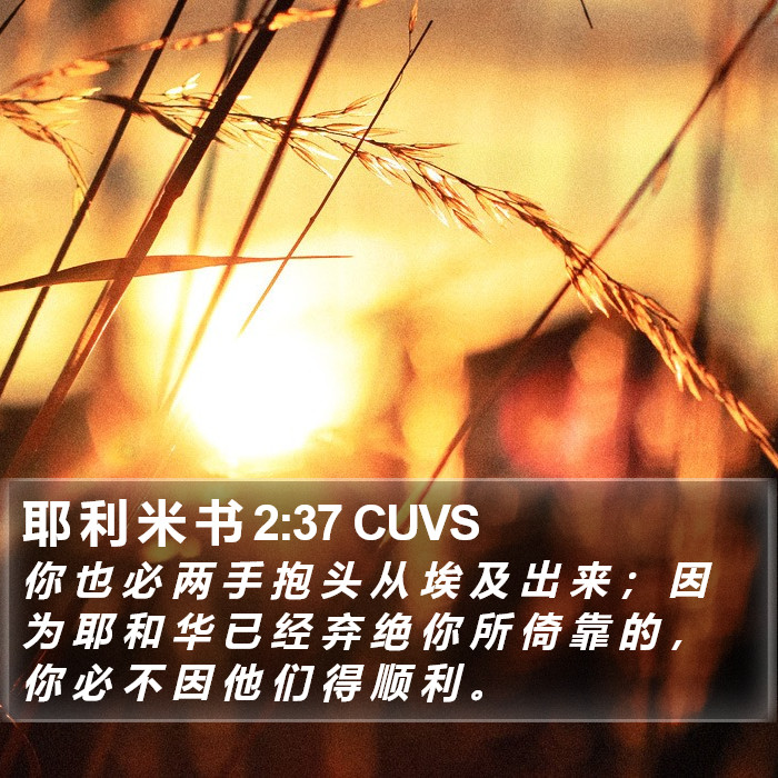 耶 利 米 书 2:37 CUVS Bible Study