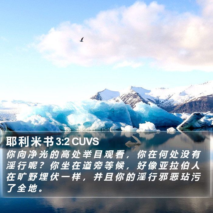 耶 利 米 书 3:2 CUVS Bible Study