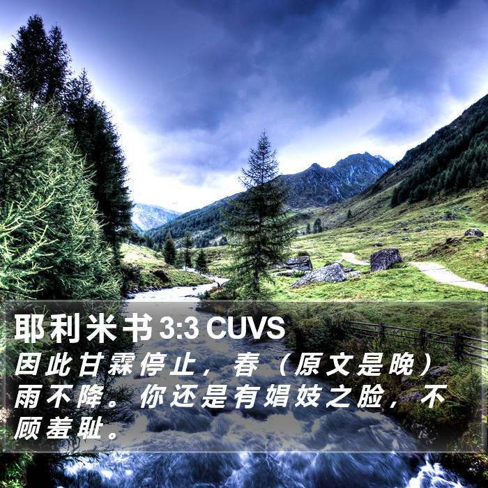耶 利 米 书 3:3 CUVS Bible Study