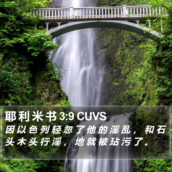 耶 利 米 书 3:9 CUVS Bible Study