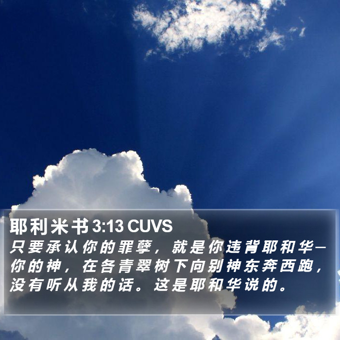耶 利 米 书 3:13 CUVS Bible Study