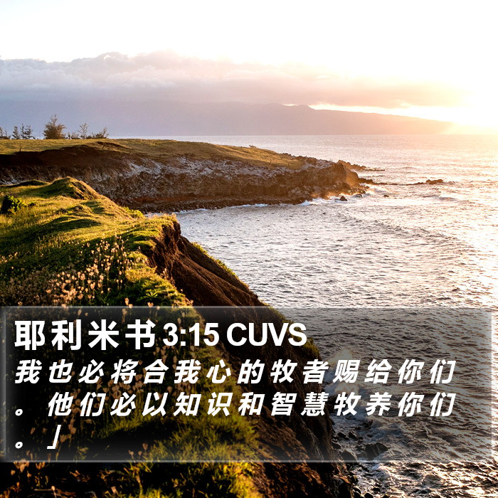 耶 利 米 书 3:15 CUVS Bible Study