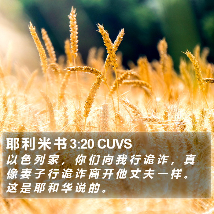 耶 利 米 书 3:20 CUVS Bible Study