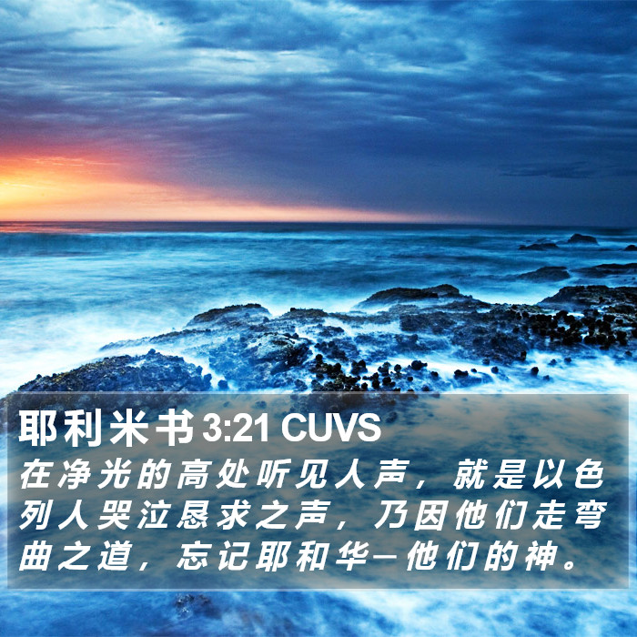 耶 利 米 书 3:21 CUVS Bible Study