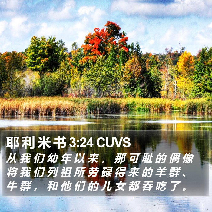 耶 利 米 书 3:24 CUVS Bible Study
