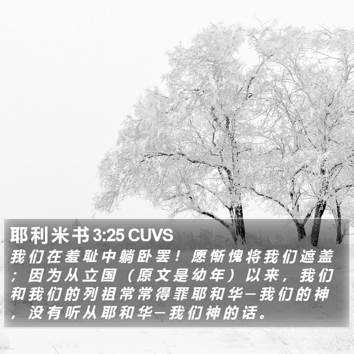 耶 利 米 书 3:25 CUVS Bible Study