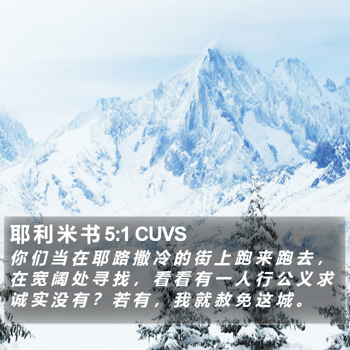 耶 利 米 书 5:1 CUVS Bible Study