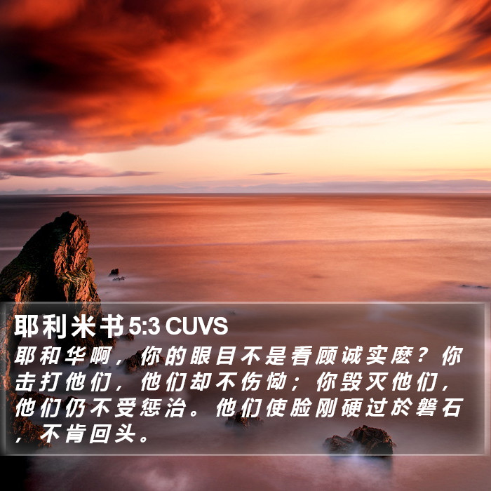 耶 利 米 书 5:3 CUVS Bible Study