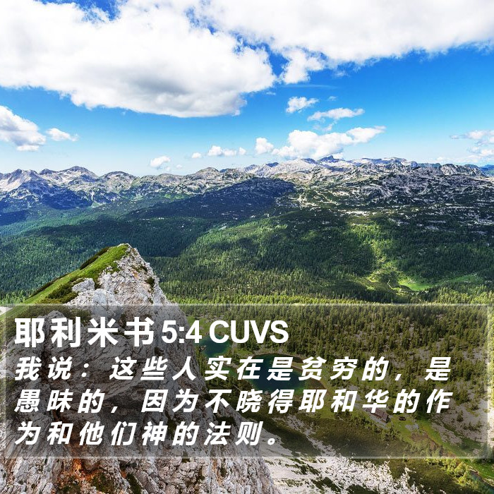 耶 利 米 书 5:4 CUVS Bible Study