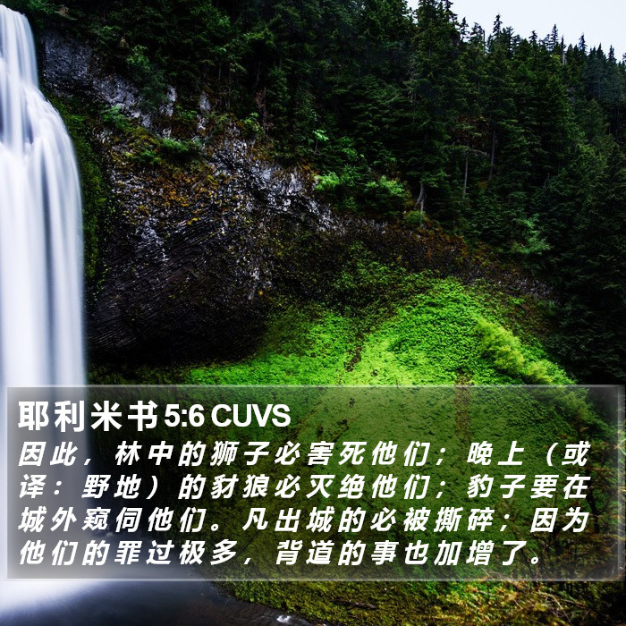 耶 利 米 书 5:6 CUVS Bible Study