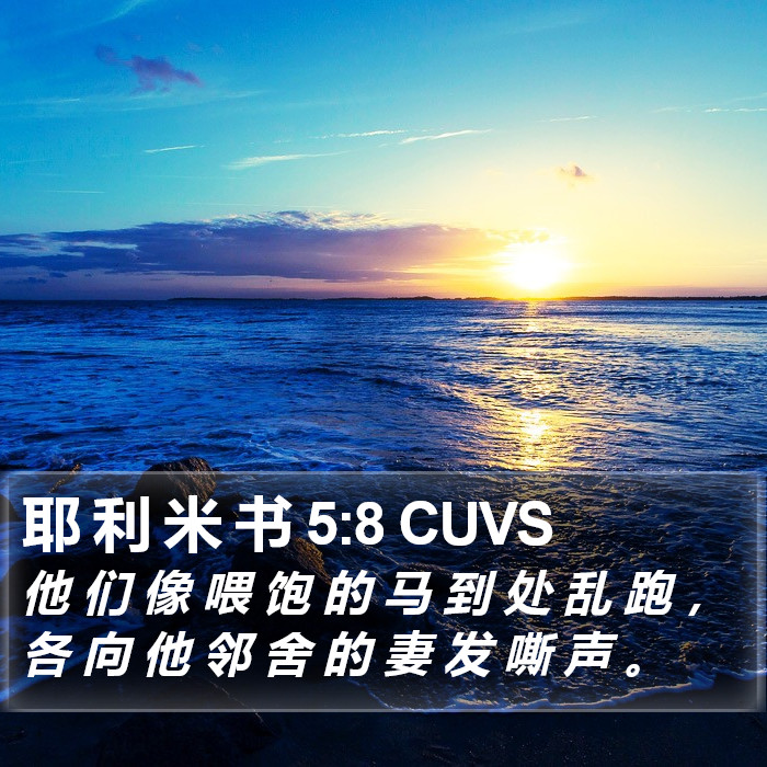 耶 利 米 书 5:8 CUVS Bible Study