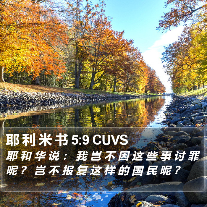 耶 利 米 书 5:9 CUVS Bible Study