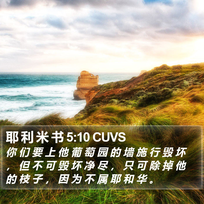 耶 利 米 书 5:10 CUVS Bible Study