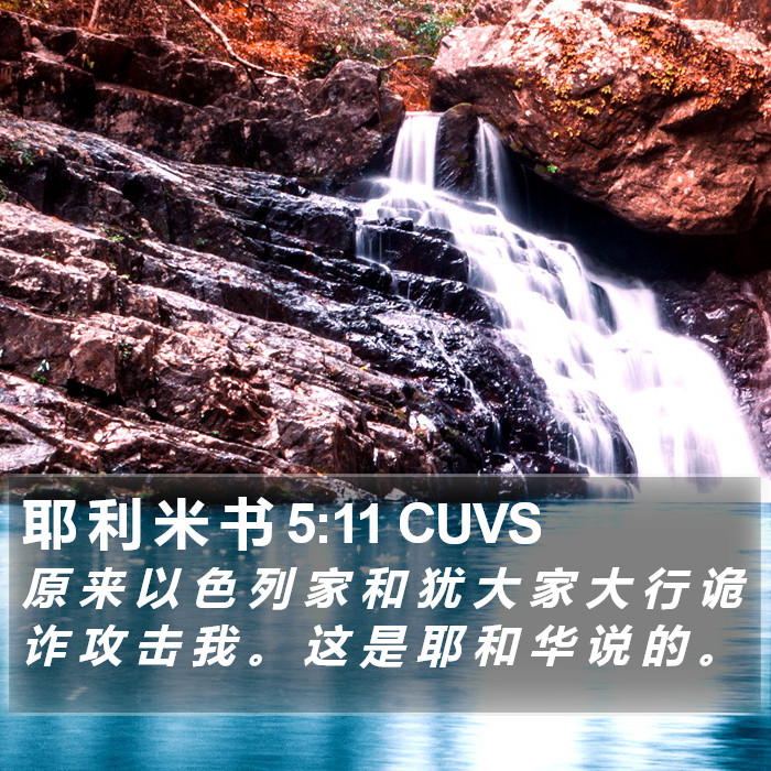 耶 利 米 书 5:11 CUVS Bible Study