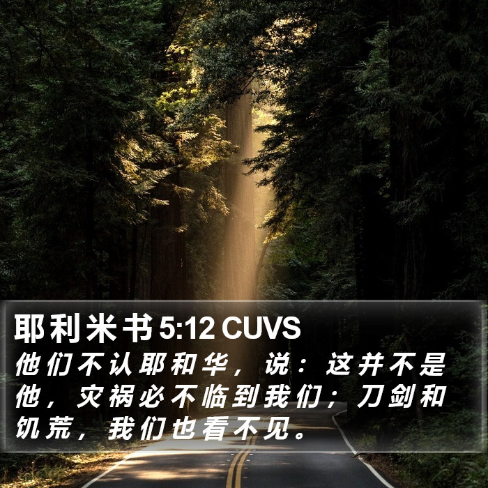 耶 利 米 书 5:12 CUVS Bible Study