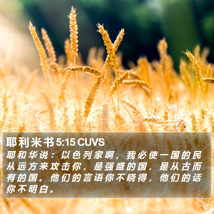 耶 利 米 书 5:15 CUVS Bible Study