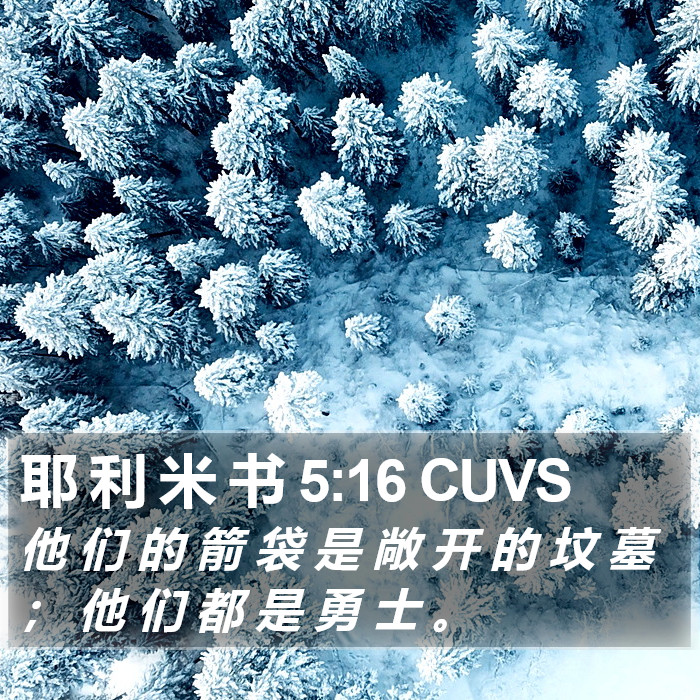 耶 利 米 书 5:16 CUVS Bible Study