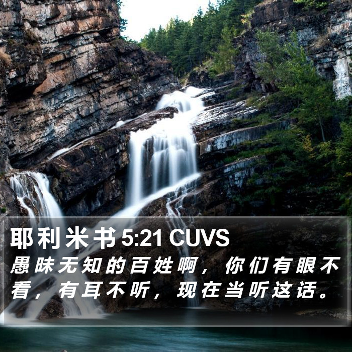 耶 利 米 书 5:21 CUVS Bible Study