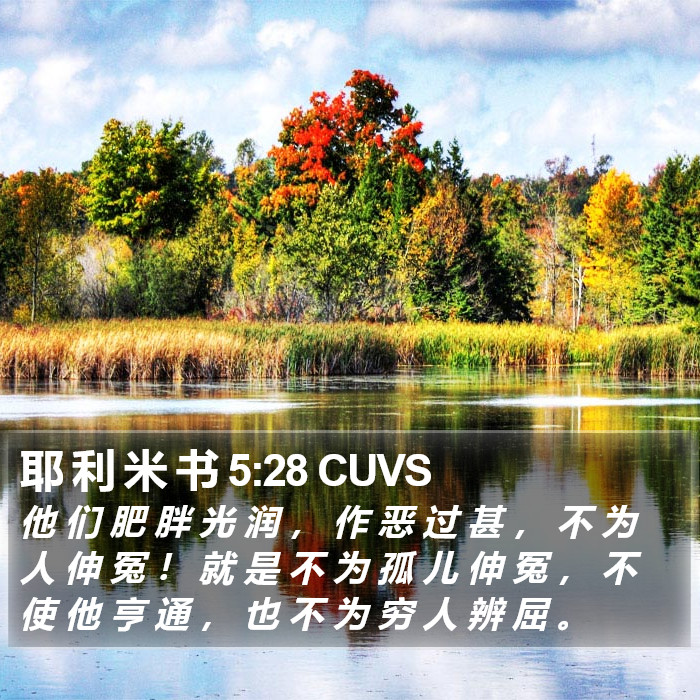 耶 利 米 书 5:28 CUVS Bible Study