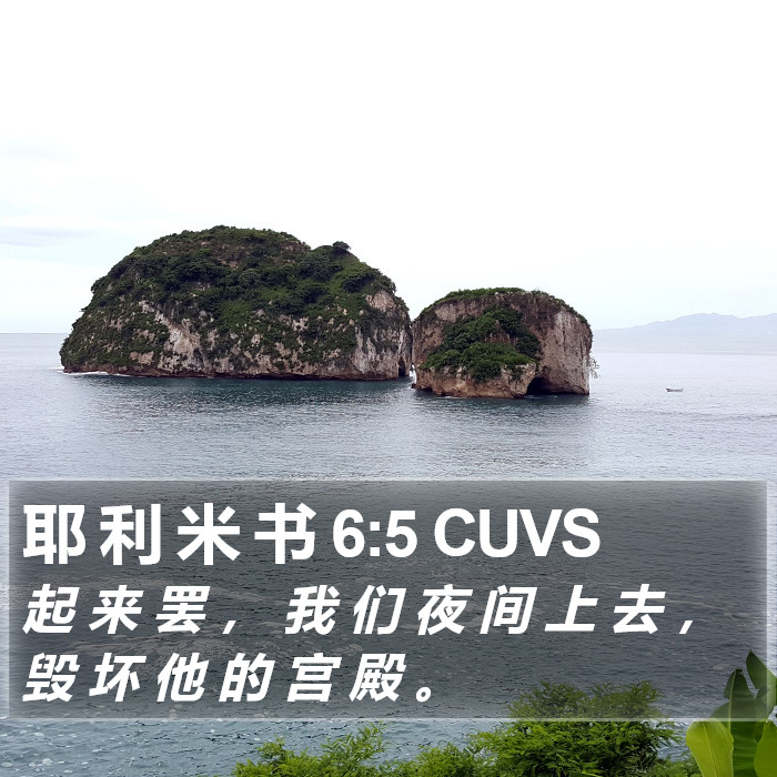 耶 利 米 书 6:5 CUVS Bible Study