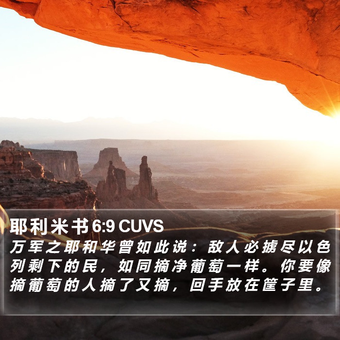 耶 利 米 书 6:9 CUVS Bible Study