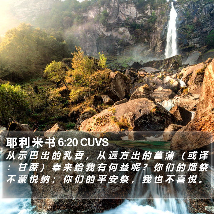 耶 利 米 书 6:20 CUVS Bible Study