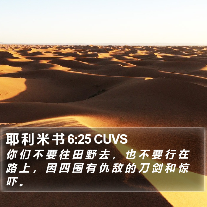 耶 利 米 书 6:25 CUVS Bible Study