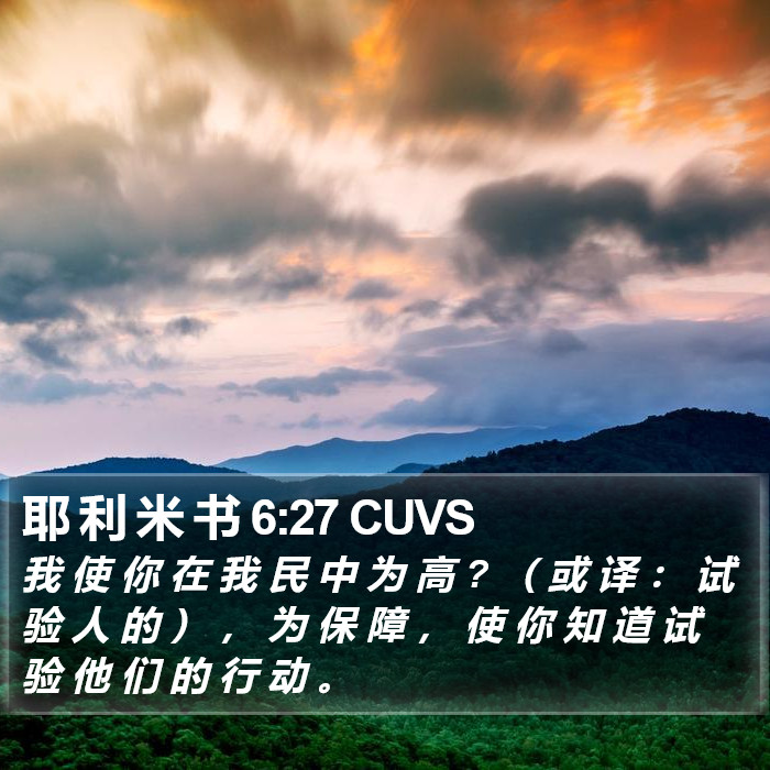 耶 利 米 书 6:27 CUVS Bible Study