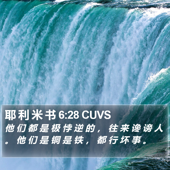 耶 利 米 书 6:28 CUVS Bible Study