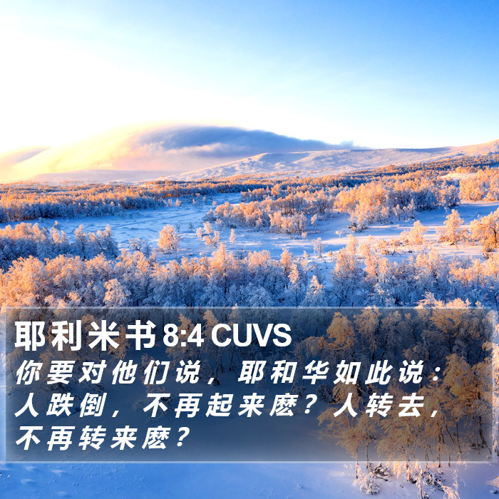 耶 利 米 书 8:4 CUVS Bible Study