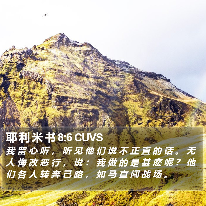 耶 利 米 书 8:6 CUVS Bible Study