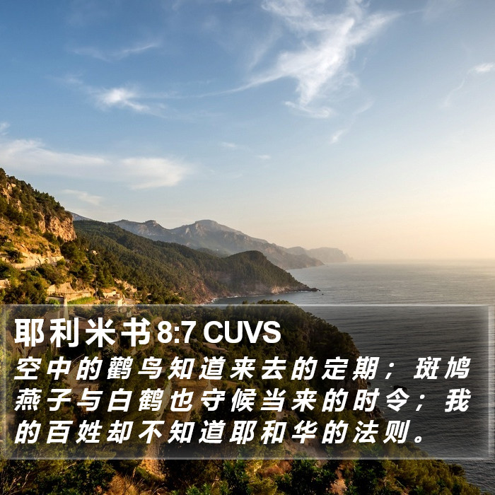 耶 利 米 书 8:7 CUVS Bible Study