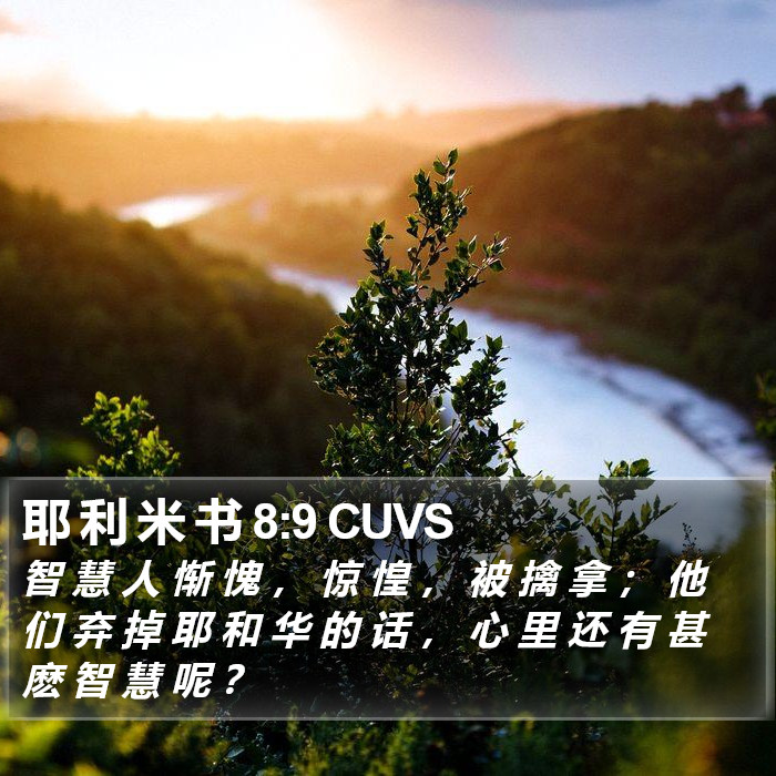 耶 利 米 书 8:9 CUVS Bible Study