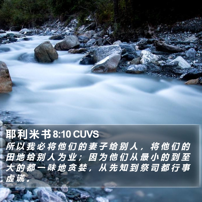 耶 利 米 书 8:10 CUVS Bible Study