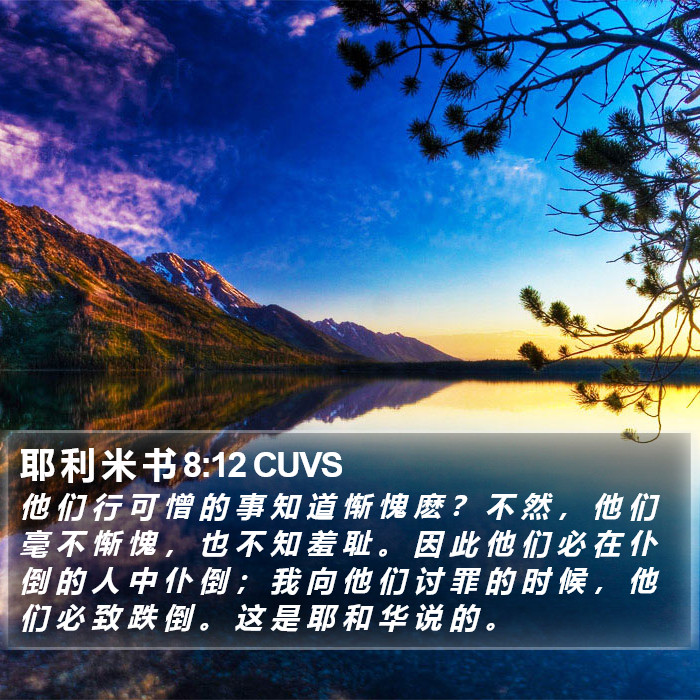 耶 利 米 书 8:12 CUVS Bible Study