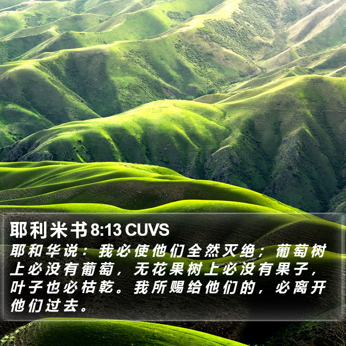 耶 利 米 书 8:13 CUVS Bible Study