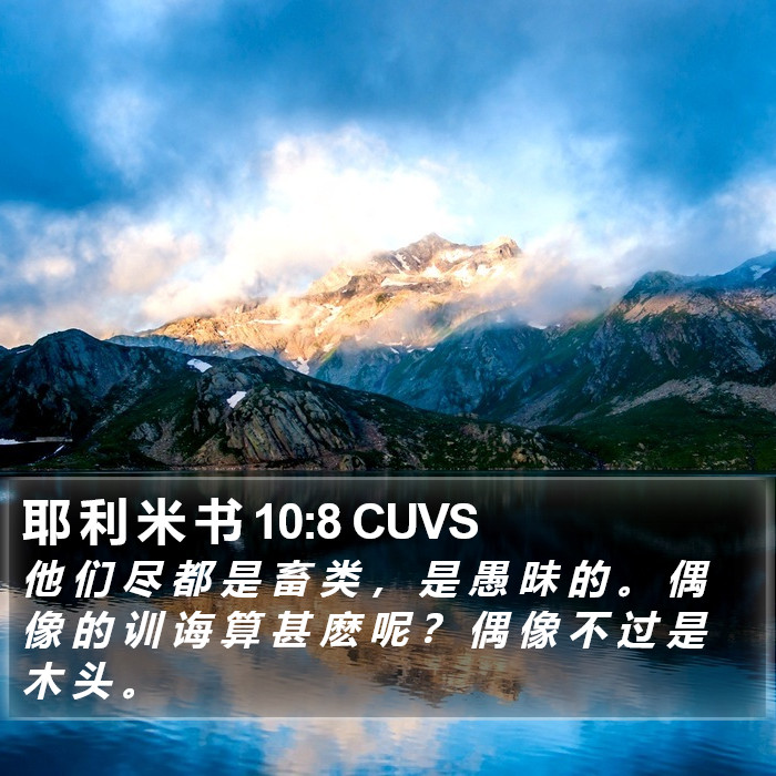 耶 利 米 书 10:8 CUVS Bible Study