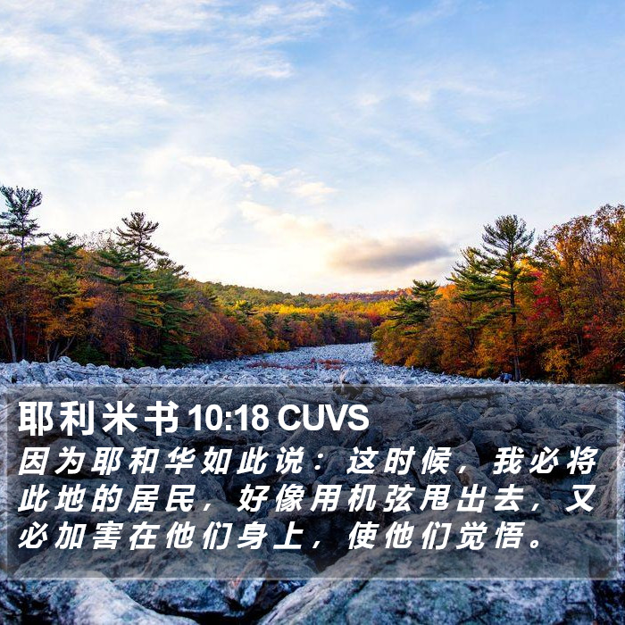 耶 利 米 书 10:18 CUVS Bible Study