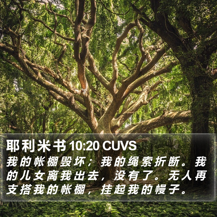 耶 利 米 书 10:20 CUVS Bible Study