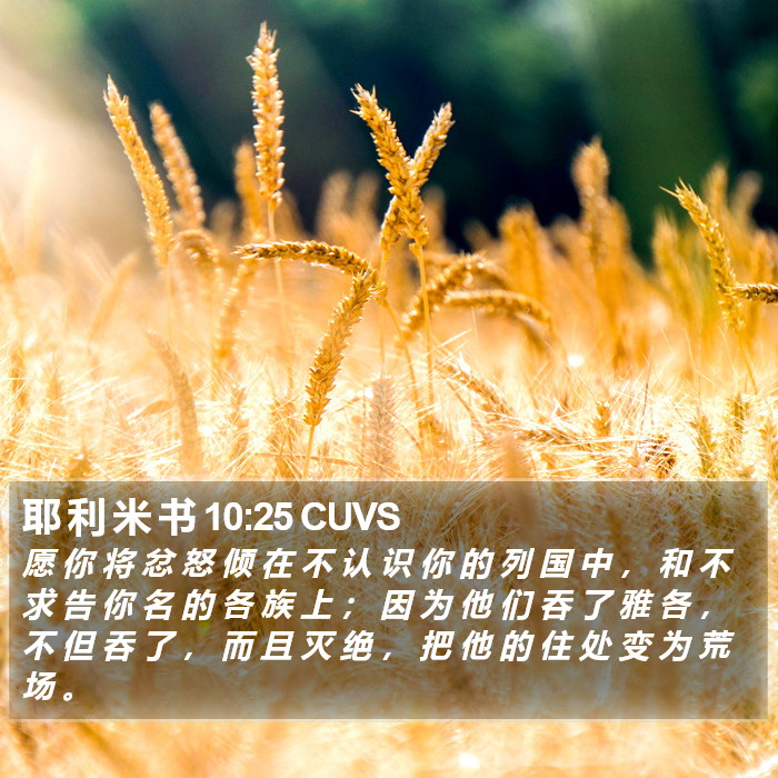 耶 利 米 书 10:25 CUVS Bible Study