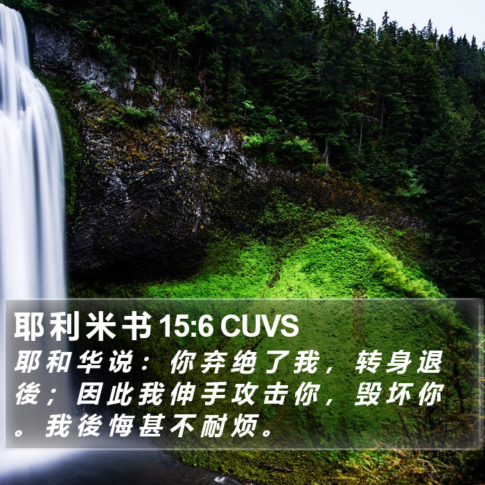 耶 利 米 书 15:6 CUVS Bible Study