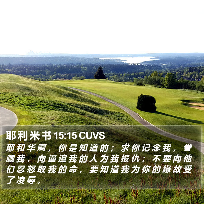 耶 利 米 书 15:15 CUVS Bible Study