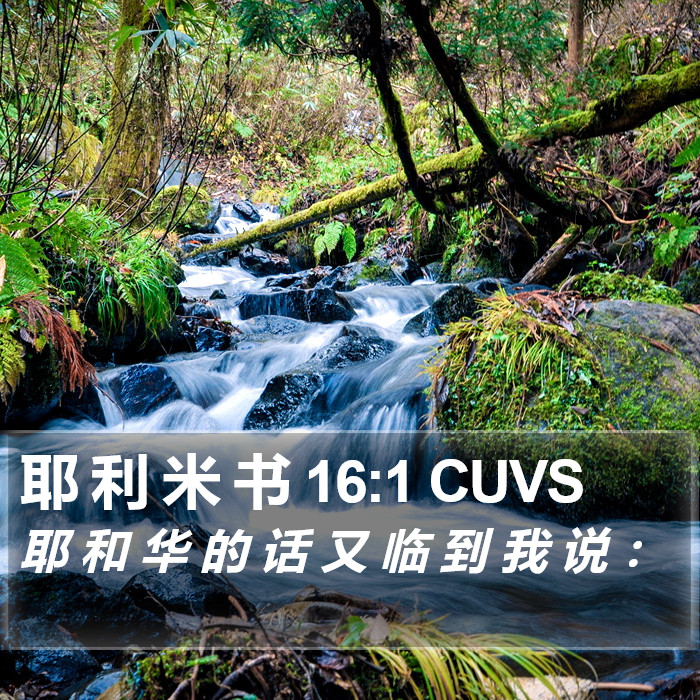 耶 利 米 书 16:1 CUVS Bible Study