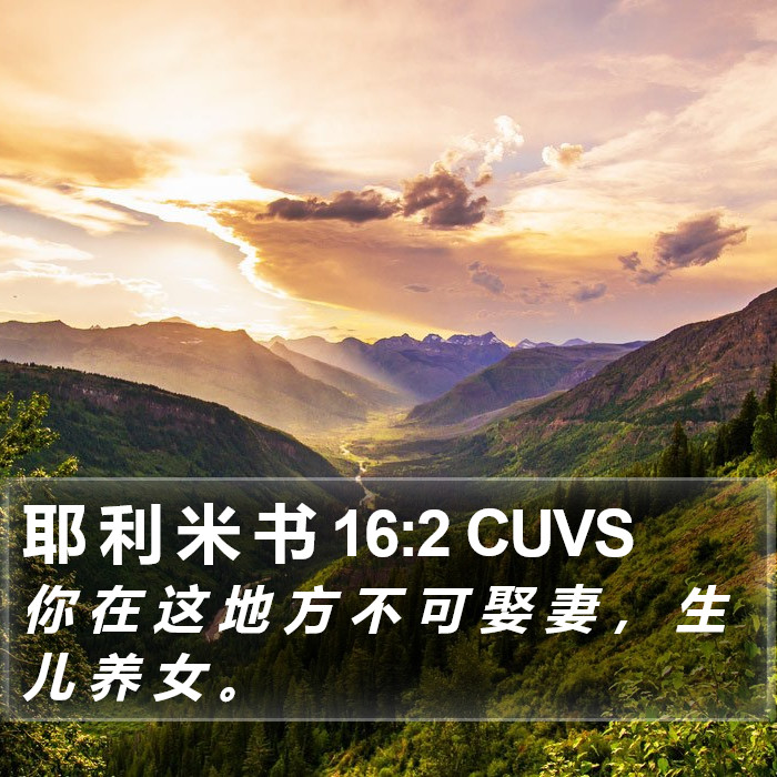 耶 利 米 书 16:2 CUVS Bible Study