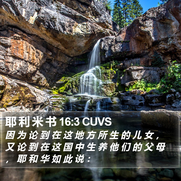 耶 利 米 书 16:3 CUVS Bible Study
