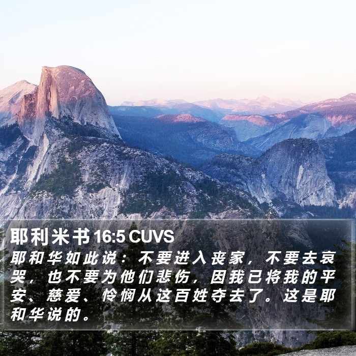 耶 利 米 书 16:5 CUVS Bible Study