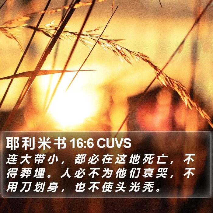 耶 利 米 书 16:6 CUVS Bible Study