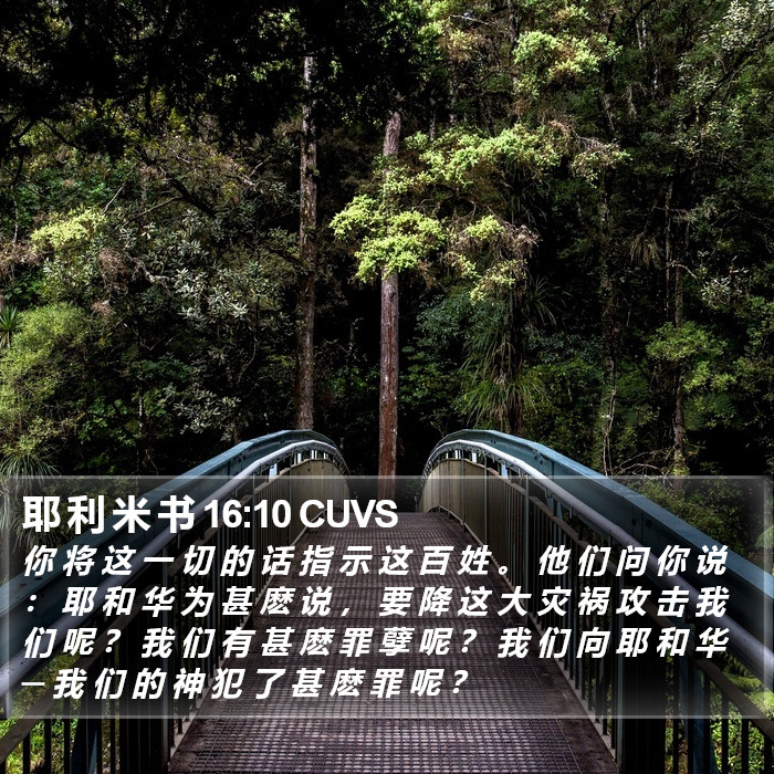 耶 利 米 书 16:10 CUVS Bible Study