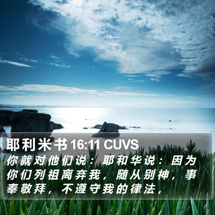 耶 利 米 书 16:11 CUVS Bible Study